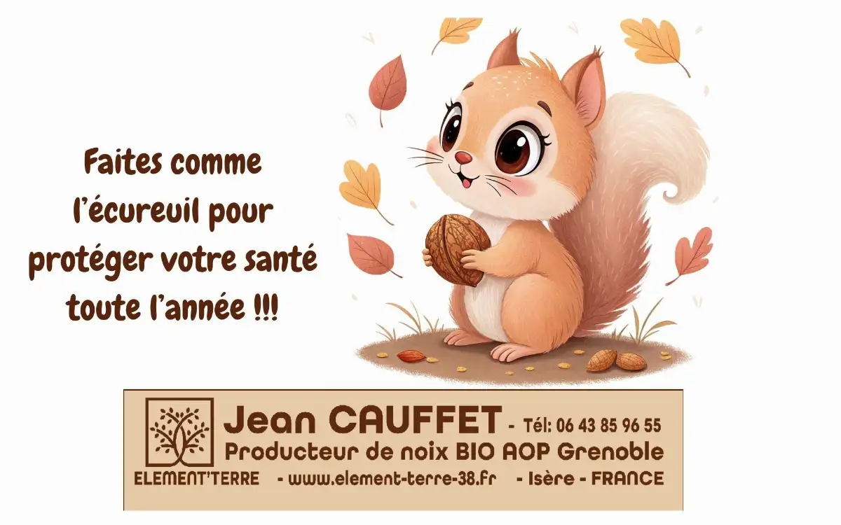 Noix sèches BIO AOP Noix de Grenoble, Filet de 1 kg